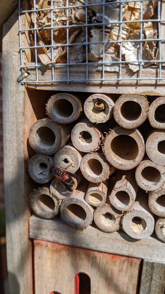 Eric Tobin 🏳️‍🌈 tweet media