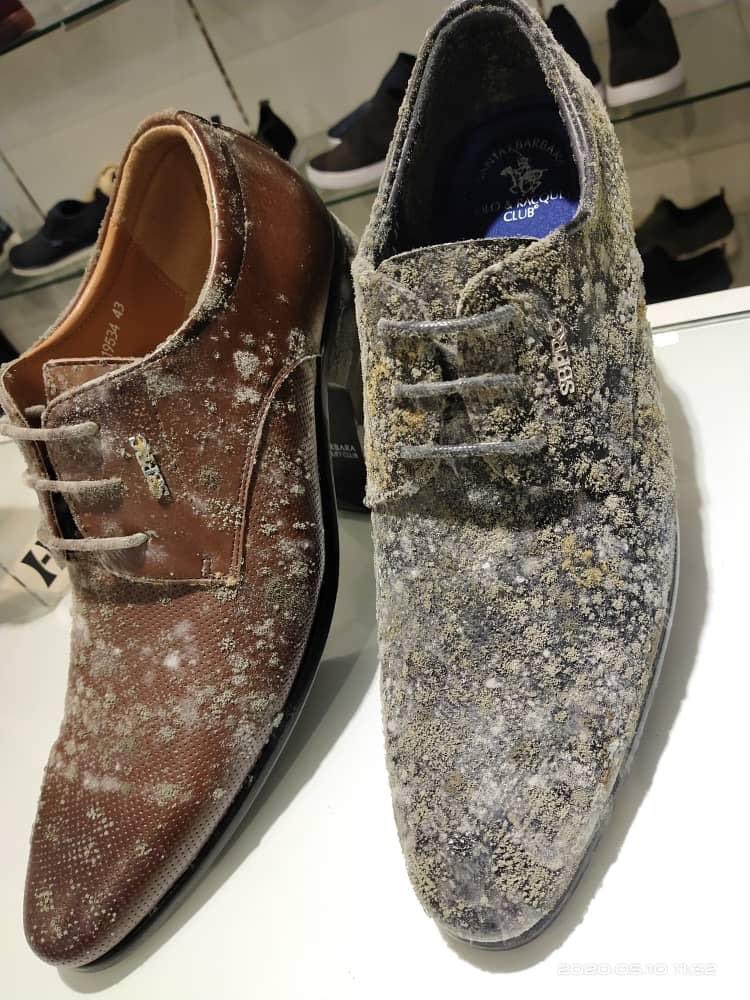 PhlegmaticCat's tweet photo. That is why you should stop using Animal skin! 😒
Just saw these pictures in one of my groups
#animalskin #dontkillthem #saveanimals
#banleather https://t.co/0Wq05Ajm31