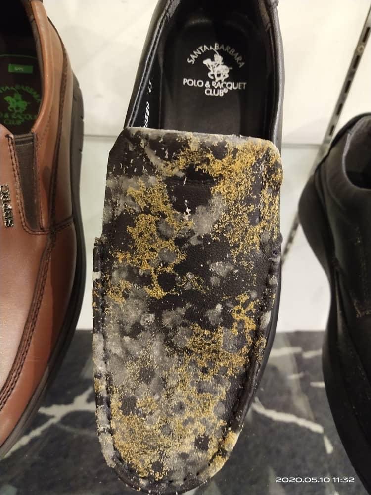 PhlegmaticCat's tweet photo. That is why you should stop using Animal skin! 😒
Just saw these pictures in one of my groups
#animalskin #dontkillthem #saveanimals
#banleather https://t.co/0Wq05Ajm31