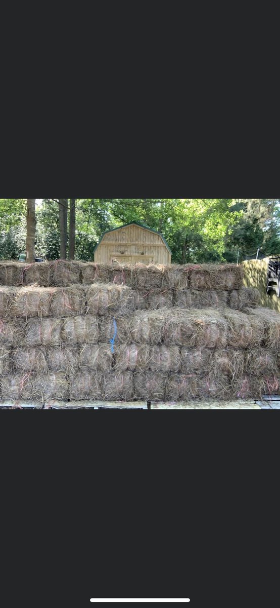 LawnCraig's tweet photo. Need pine straw? Call us! We’ve got you covered! Pine straw for pick-up, delivery, or deliver and spread! Long needle, super clean! Call Thomas Craig today! 478-302-3192 https://t.co/tILdexiT0k