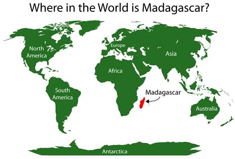Sebelum itu, perlu tahu bahawa Uroplatus sikorae ini endemik atau hanya dapat ditemui di Madagascar sahaja.Merupakan haiwan arboreal, iaitu banyak menghabiskan masa di atas pokok sahaja. Berdiet insektivor atau memakan serangga dan aktif pada waktu malam (nokturnal).