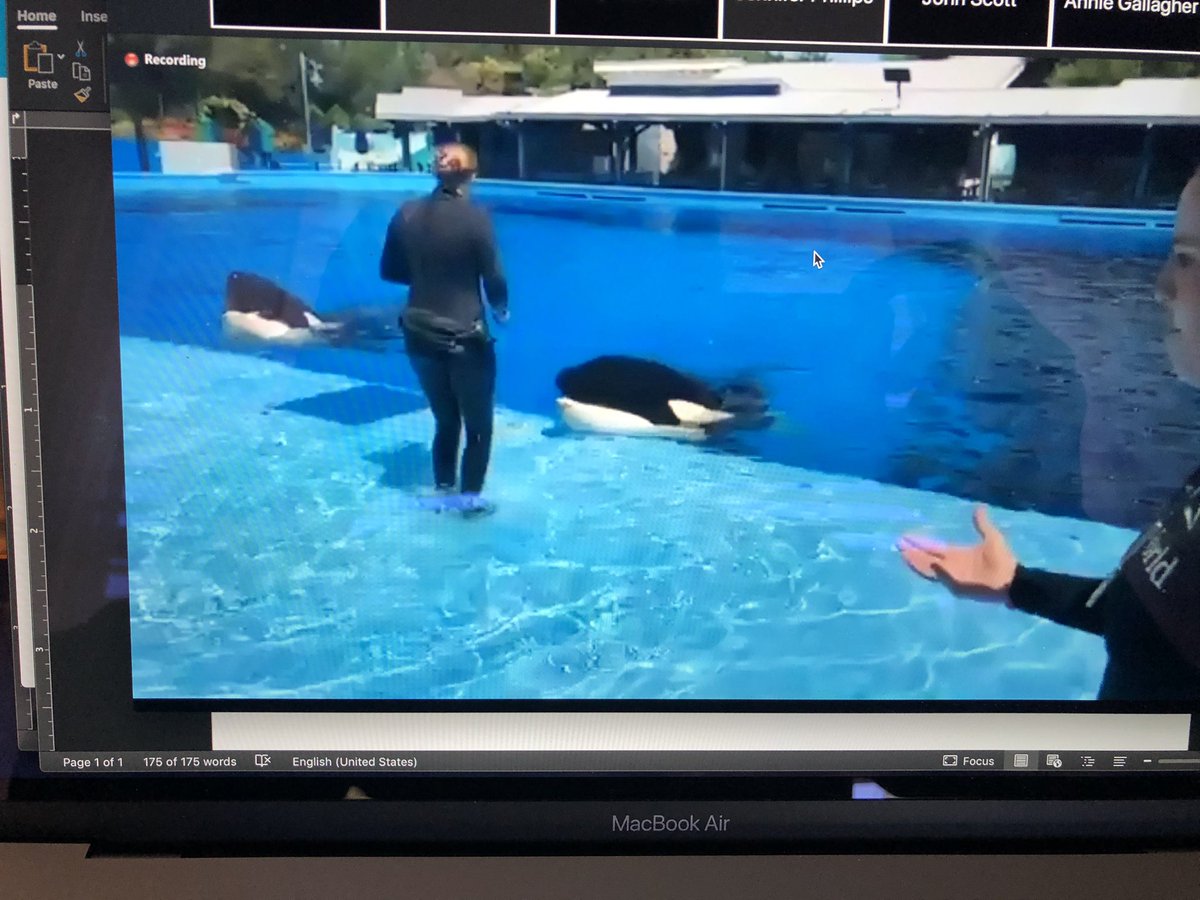 So so proud of my cousin Meghan! And the amazing work she is doing <a href="/SeaWorld/">SeaWorld</a>