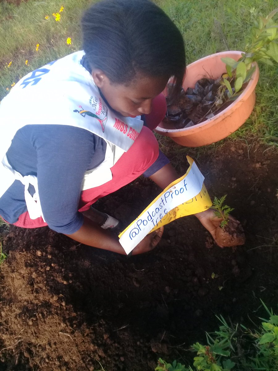 MourineAsiimwe's tweet photo. I plant a tree for every new follower.
NO.25
@PodcastProof
This is one way you have contributed towards environmental conservation through tree planting.
#missconservationKigezi2019/20 #modelgarden
#PlantaTreePlantHopedrive
#ConservationVoicesAfrica https://t.co/EGZFIW09Gx