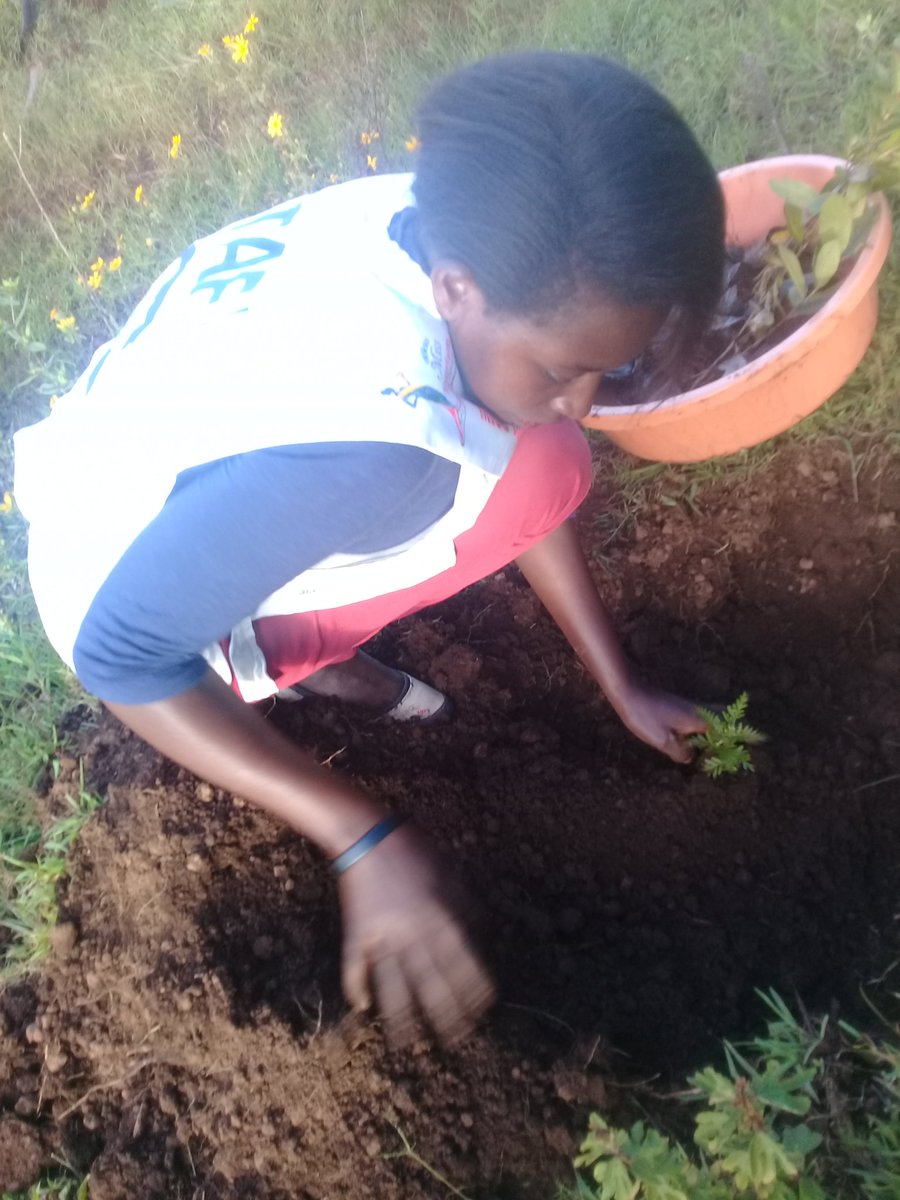 MourineAsiimwe's tweet photo. I plant a tree for every new follower.
NO.25
@PodcastProof
This is one way you have contributed towards environmental conservation through tree planting.
#missconservationKigezi2019/20 #modelgarden
#PlantaTreePlantHopedrive
#ConservationVoicesAfrica https://t.co/EGZFIW09Gx