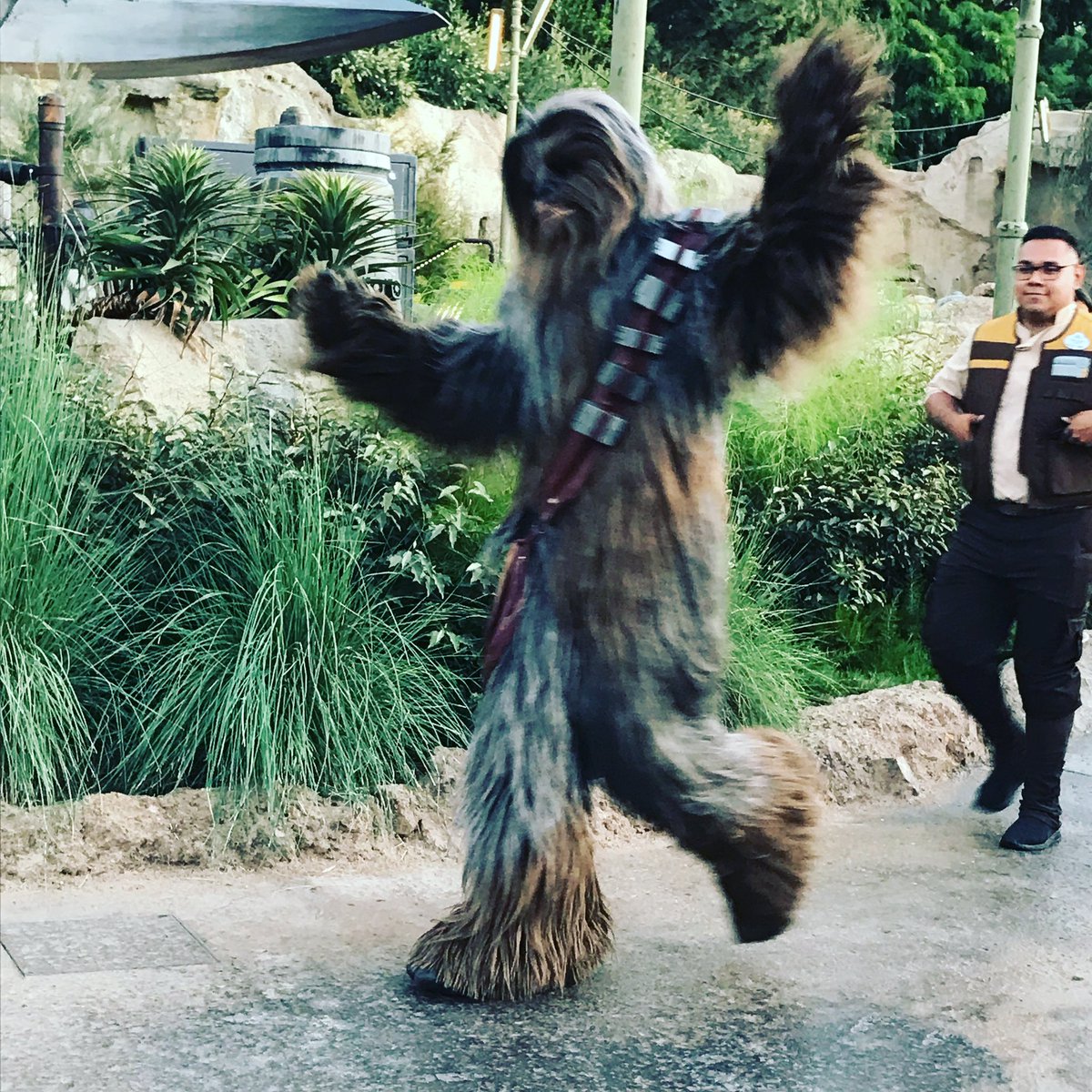 GEScoundrels's tweet photo. Happy #Battuesday everyone!
.
.
.
.
#starwars #galaxysedge #batuu #blackspireoutpost #disneyland #chewbacca https://t.co/04Q19KuPRx