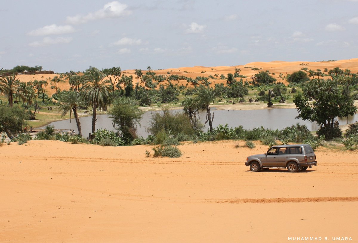 Maryam_Aleeyuh's tweet photo. This is not Dubai !!!
It’s Yusufari, Yobe State, Nigeria.
One of the hidden Gems of Nigeria.
Retweet to educate someone https://t.co/QlmaD1hVEa