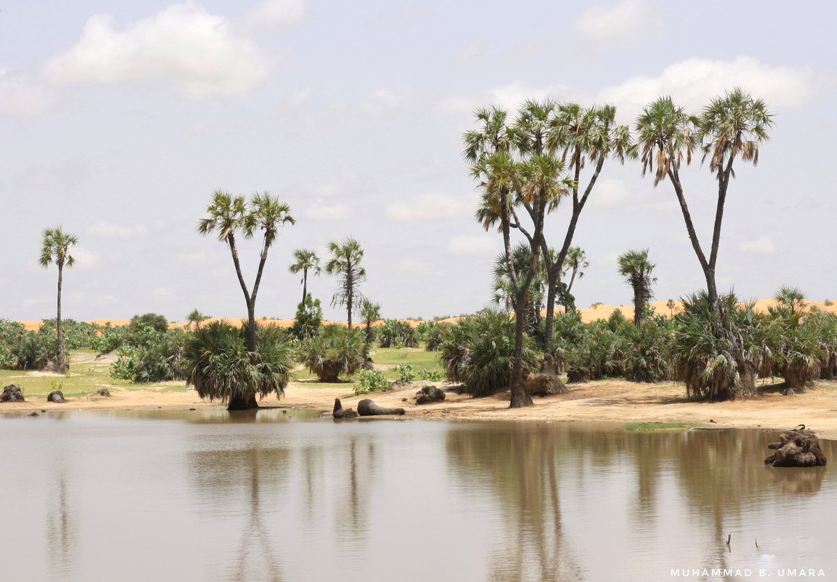 Maryam_Aleeyuh's tweet photo. This is not Dubai !!!
It’s Yusufari, Yobe State, Nigeria.
One of the hidden Gems of Nigeria.
Retweet to educate someone https://t.co/QlmaD1hVEa