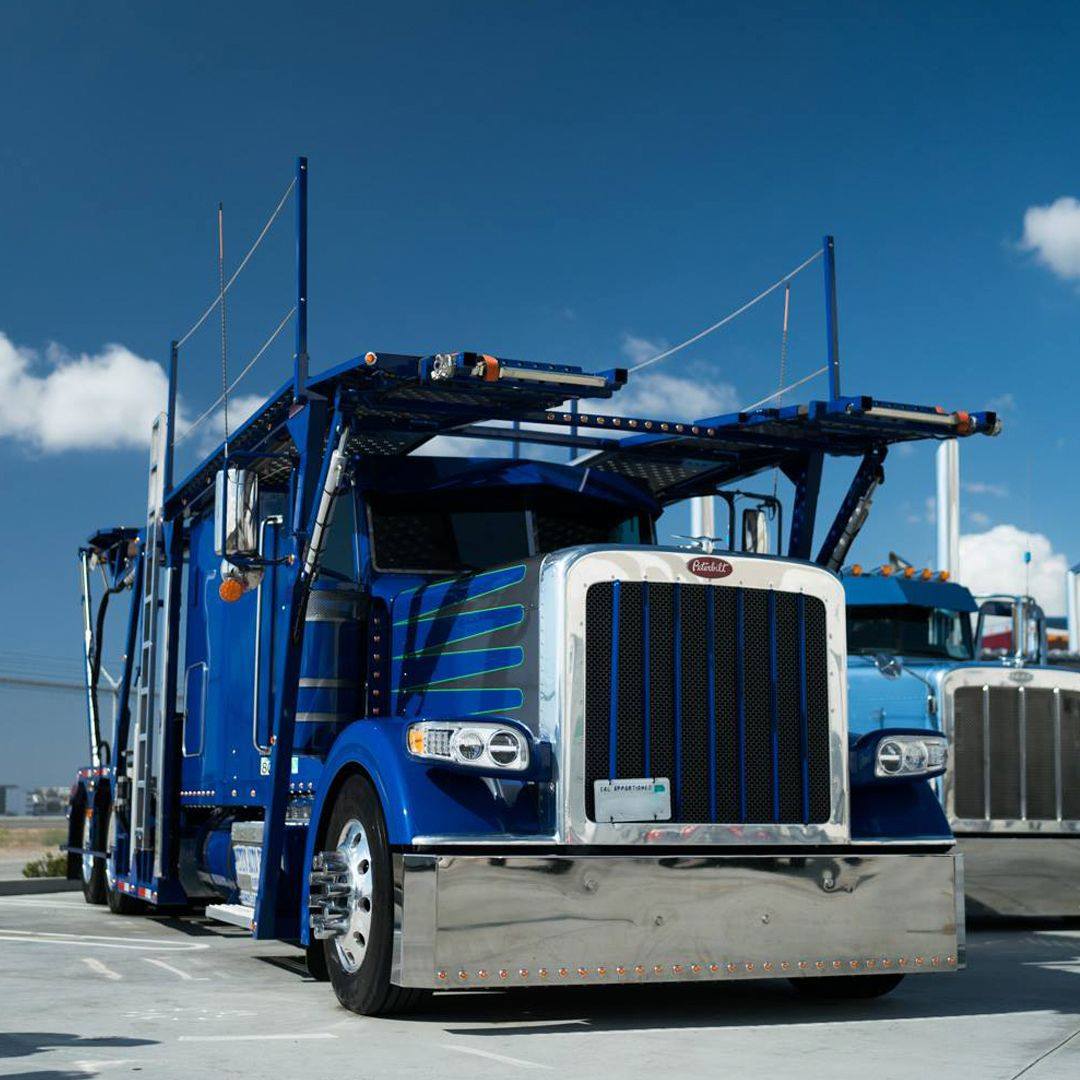 TRUCKiDcom's tweet photo. So Awesome😎
#trucks #customtrucks #nastytrucks #meantrucks #trucking #truckers #trucknation #truckdaily #peterbilt #peterbilttrucks #bigrig #slammedsemis #prideinyourride #showtruck #lowboytrucker #truckshow https://t.co/Bhv7KRKeex https://t.co/Sjm5F0I5ar