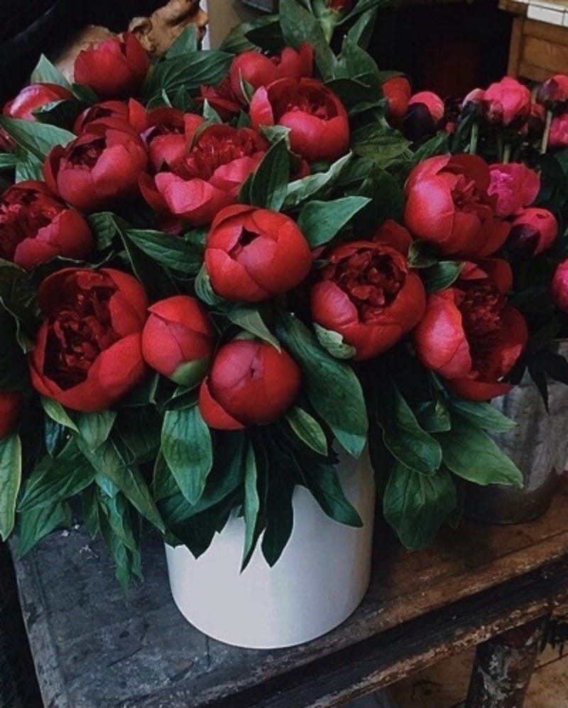 Пьяный Твиттер tweet media