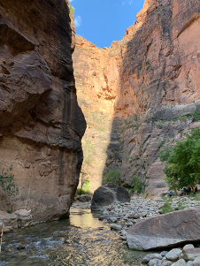 David Staal tweet media