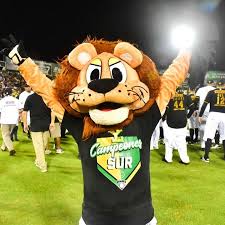 leonesdeyucatan's tweet photo. ¿Están listos para apoyar a @LeonelelCoronel?

Voten hoy en las redes sociales de la @LigaMexBeis y vamos a rugir fuerte contra Chacho de @tigresqroficial en el Campeonato de Mascotas 🦁👏

#ComparteLaEmoción https://t.co/bPmoWpVOEE