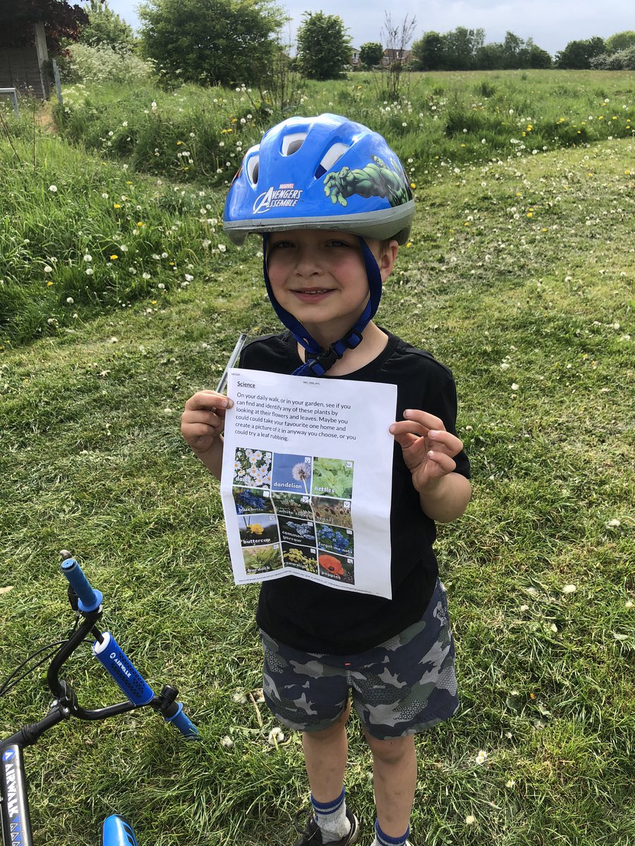 sophP18's tweet photo. Out on an adventure riley and connor  finding all the different types of leave and flowers! @st_michaels_ce https://t.co/HoZw561mcH