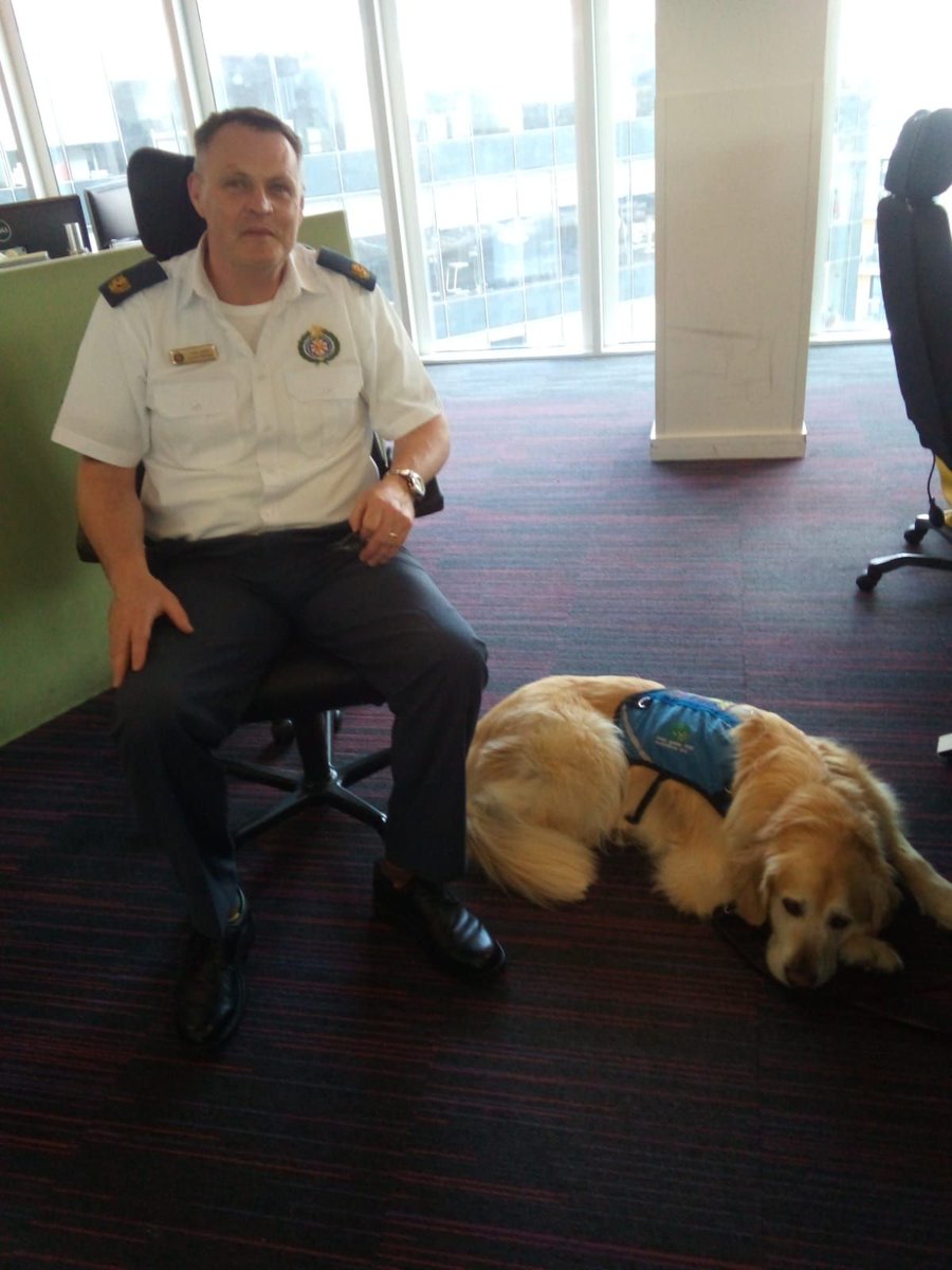 irishguidedogs's tweet image. Thank you to Aisling Maher of the National Emergency Operations Centre in Tallaght and all the frontline staff for your support on #GuideDogDay #ChangingLives 
Pictured are: Assistance Dog Harper, Duty Control Manager John and House Emergency Call Takers Sarah and Ciara