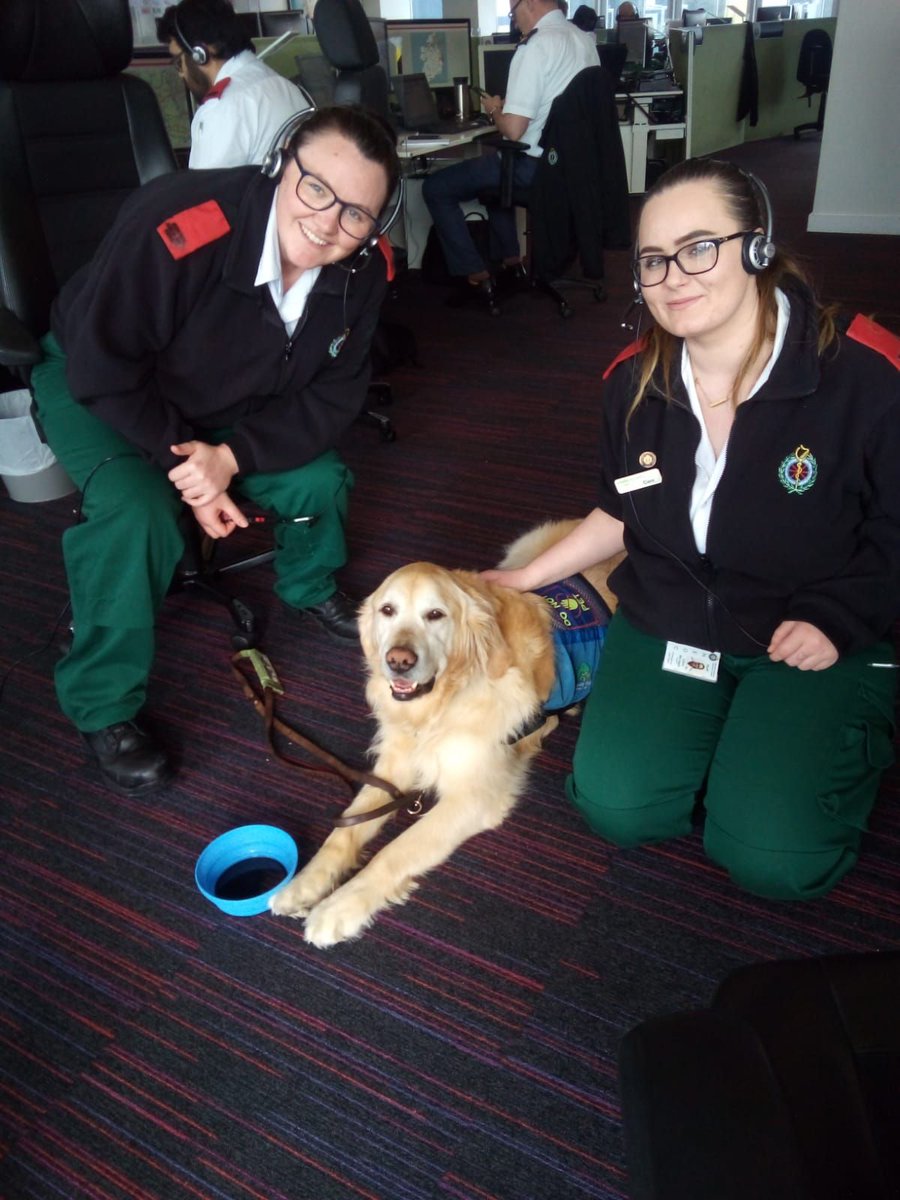 irishguidedogs's tweet image. Thank you to Aisling Maher of the National Emergency Operations Centre in Tallaght and all the frontline staff for your support on #GuideDogDay #ChangingLives 
Pictured are: Assistance Dog Harper, Duty Control Manager John and House Emergency Call Takers Sarah and Ciara