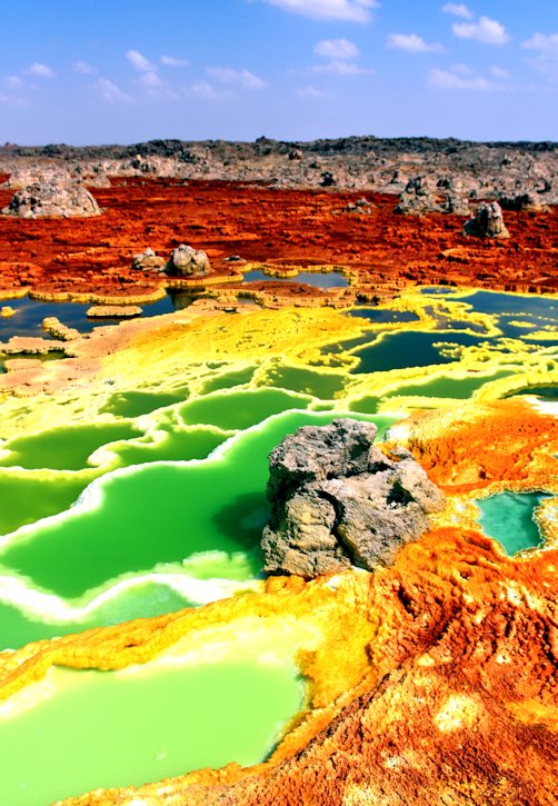 _WonderScience's tweet photo. Life finds a way...most of the time.
At the salt pools of Dallol, PH levels drop below zero, temperatures reach 200 degrees Fahrenheit and salinity levels can be 15 times that of the ocean! Not even bacteria survive!☠️
#wonderfulscience #life #alienworld https://t.co/c9NpSffE5x