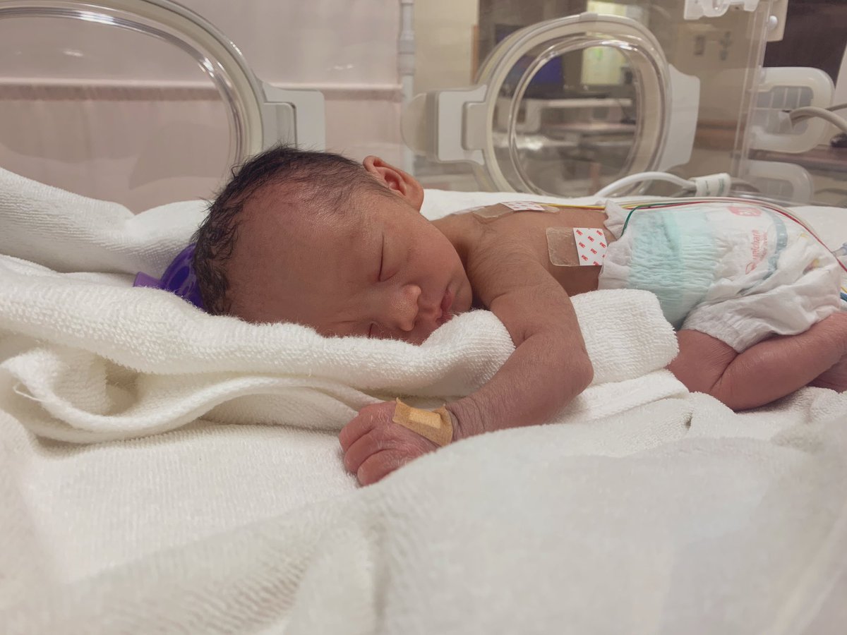 森のともだち農園 tweet media