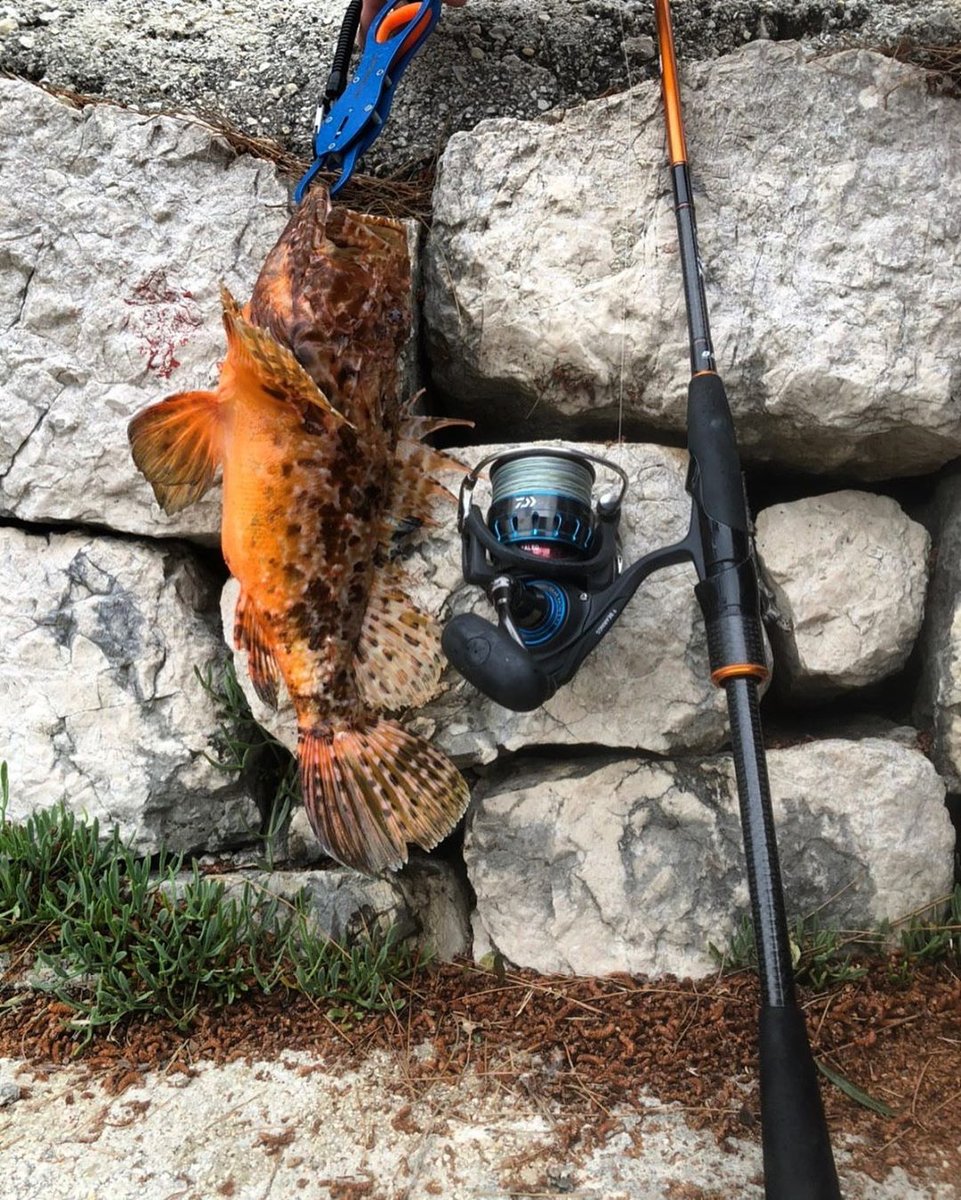PerconaRocks's tweet photo. Best #meditation ever 🧘 Percona Director of Server Engineering lives in Montenegro and enjoys fishing just in a couple of steps from her home. I can say fishing is her real passion!
#perconaadventureteam #perconarocks https://t.co/zjdDsiUUa0
