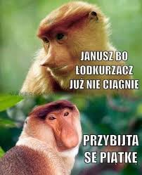 PiotrZiba11's tweet image. HA HA HA JEBŁEM!!!🤣🤣🤣🤣🤣🤣🤣
#Janusz
#JanuszNosacz
#Halyna
#Halinka