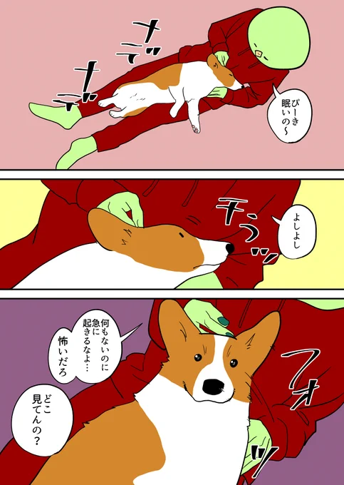 コーギーなでる 
