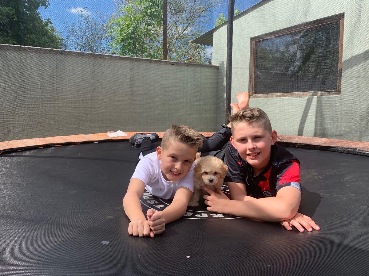 KatePittard's tweet photo. Mae disgybl newydd yn ein dosbarth ni! Mae Simba yn dwli amser chwarae 🐶💙 https://t.co/qb7PwVDcQB