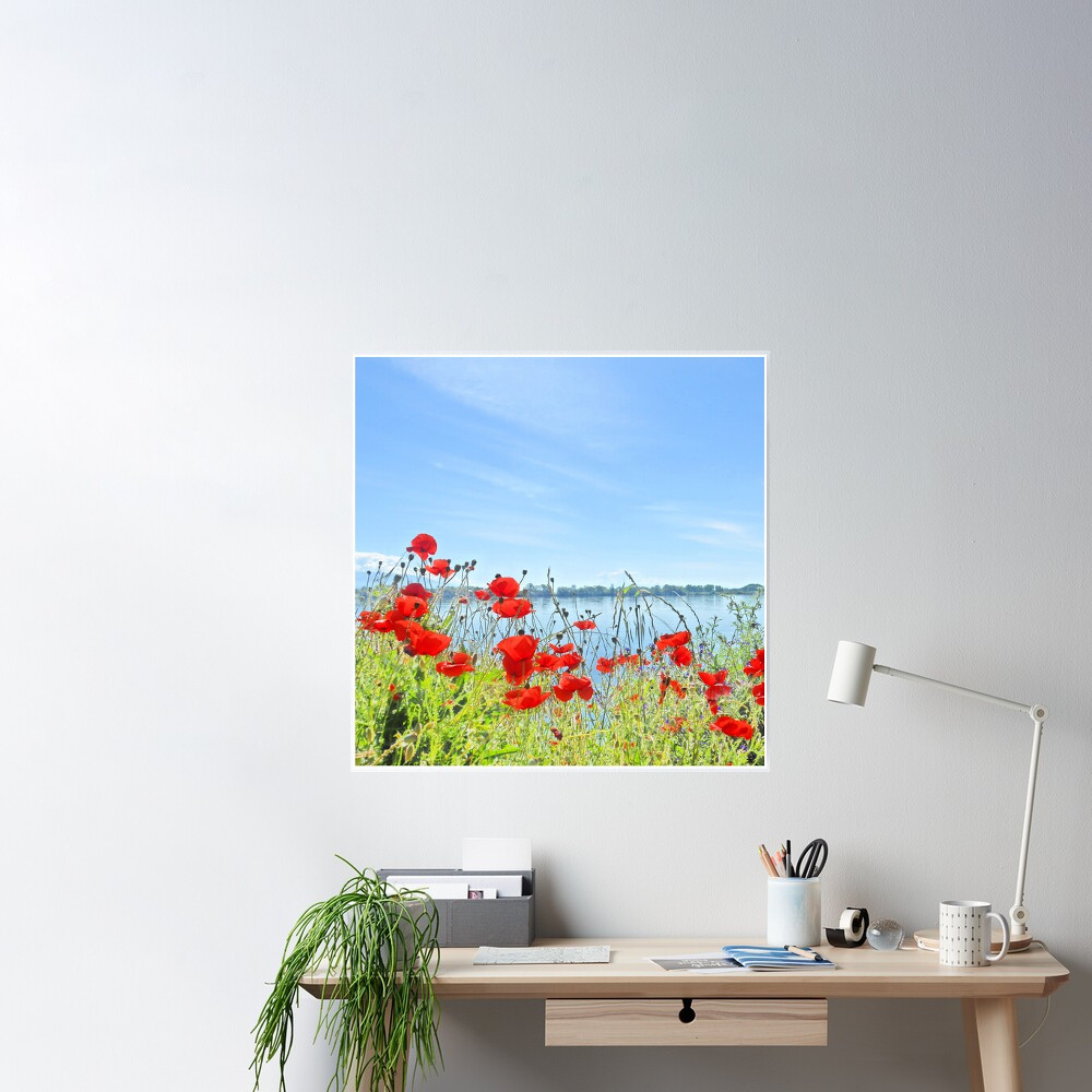jo_artbyjwp's tweet photo. Discover unique winter-themed art prints & posters in my @redbubble Art Shop!
Ft. Poster Poppies near the lake
https://t.co/Ybz0zZSqgf
#wallart #walldecor #decoration #redbubble #shop #sales #poster #artprints #homedecor #landscape #springprints #floralart #giftideas #poppies https://t.co/5dfh1x8eUv