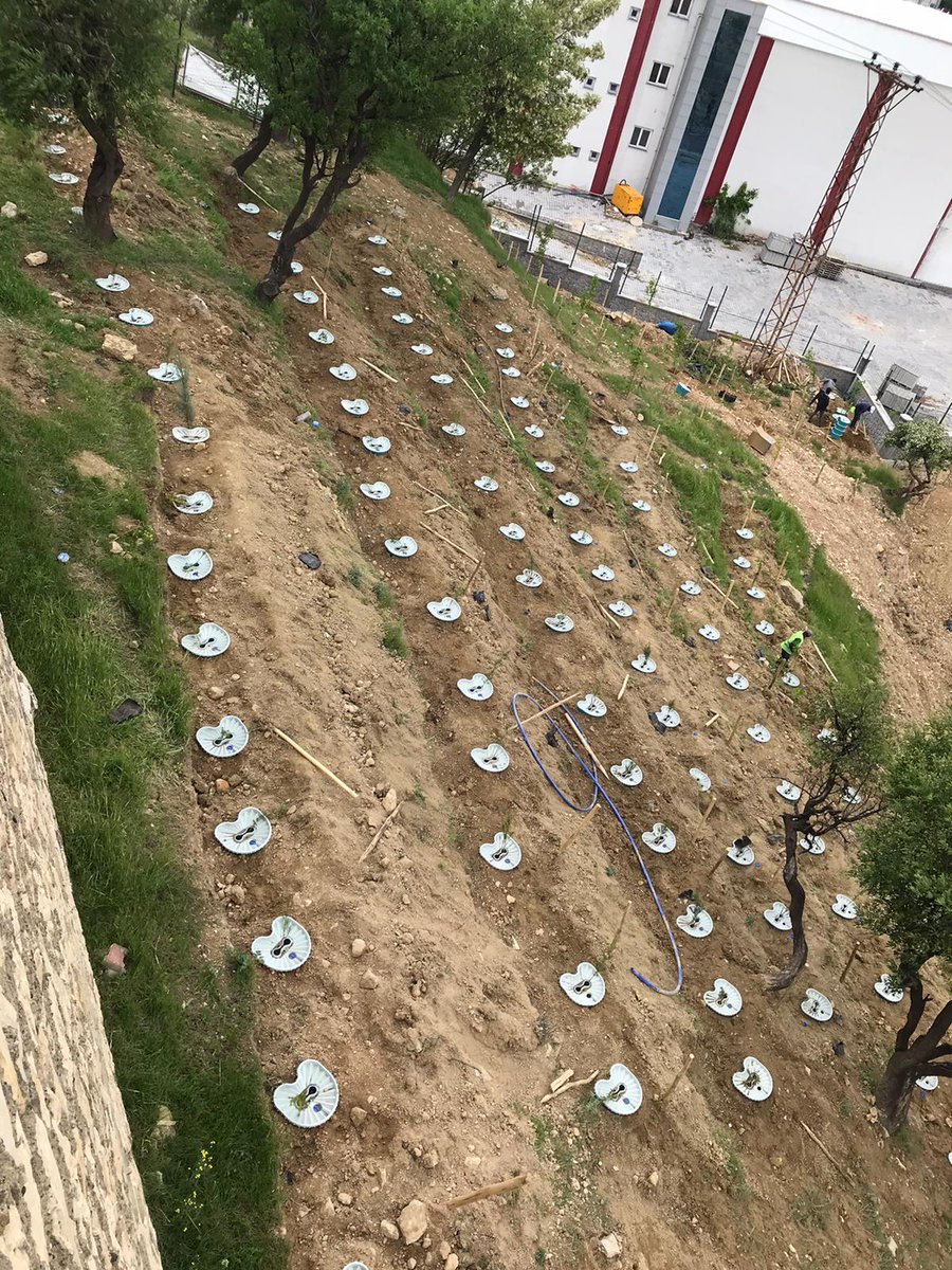 Ağacı Kendinize değil Tabiata bağlayın... EKOBOX