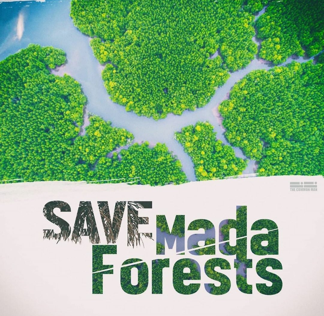 NeedsTdp's tweet photo. #SaveMadaForestFromJagan #savemadaforest #Savemada #TDP https://t.co/mls7vmm495