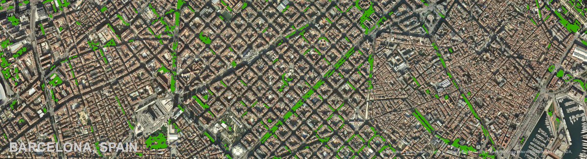 CopernicusLand's tweet photo. 🟢We have recently released the 2018 edition of the Street Tree Layer product of our #CLMS Urban Atlas: it includes info about trees🌳along the road network of urban areas 🚘
Find out more ➡️https://t.co/FtgKosqUen
⬇️Preview over Barcelona https://t.co/YqHh1s5iGZ