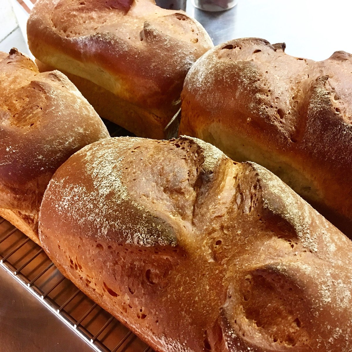 Anyone need fresh bread?!  Honey buttermilk loaves, honey whole wheat loaves, and sunflower rye loaves all available after 2pm today!