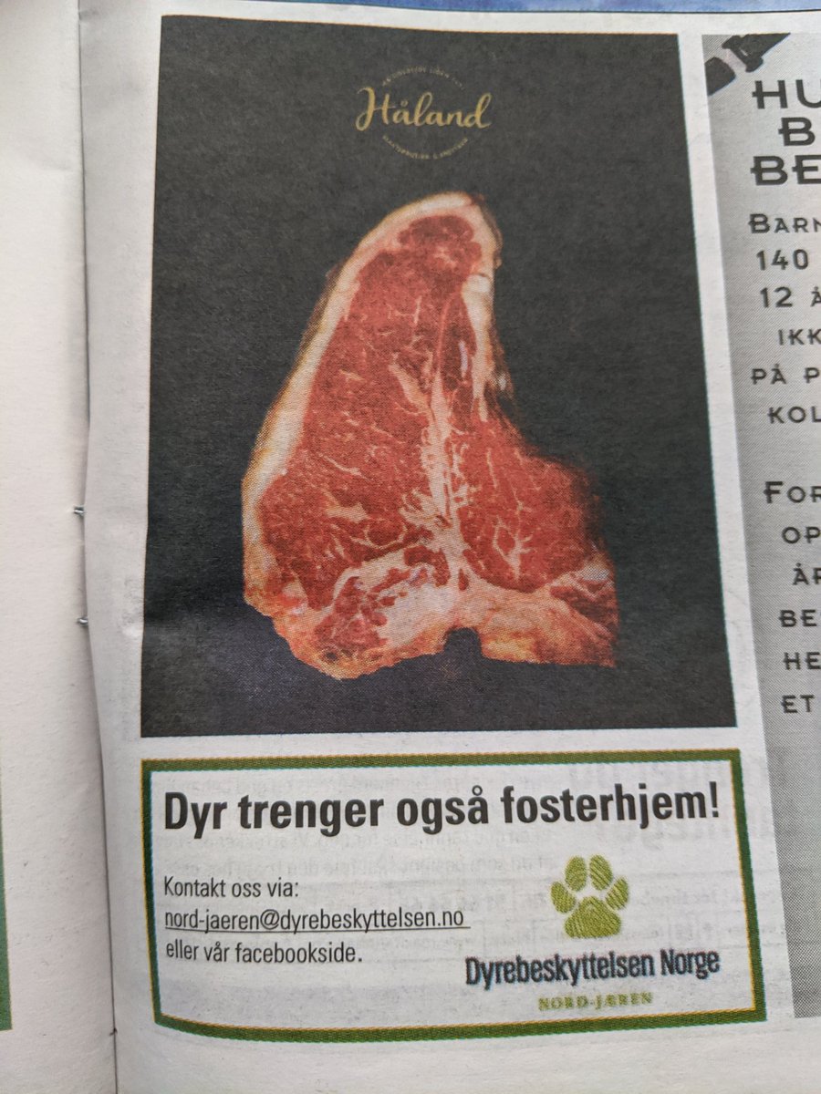 fbarstad tweet picture
