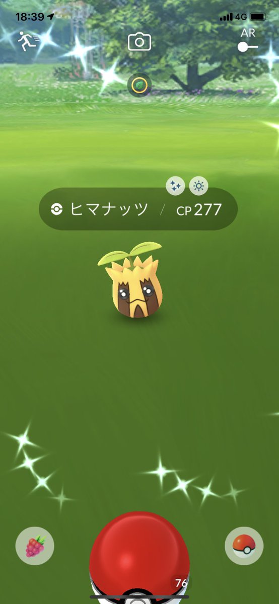 ポラリス V Twitter ポケモンgo 本日のスポットライトアワー ヒマナッツ大量発生 色違いヒマナッツget 2匹目なのでキマワリに進化させました ポケモンgo 色違い ヒマナッツ キマワリ