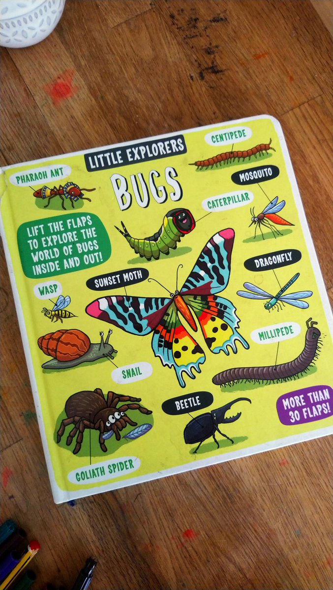 lochcharlie's tweet photo. A morning outdoors, investigating woodpiles, bugs and researching their names and habitats. Such a happy Sam! 🐛 ❤️ #scienceaddicts #bugsasfriendsforlife @DrymenPrimary https://t.co/JP4qnqur3p