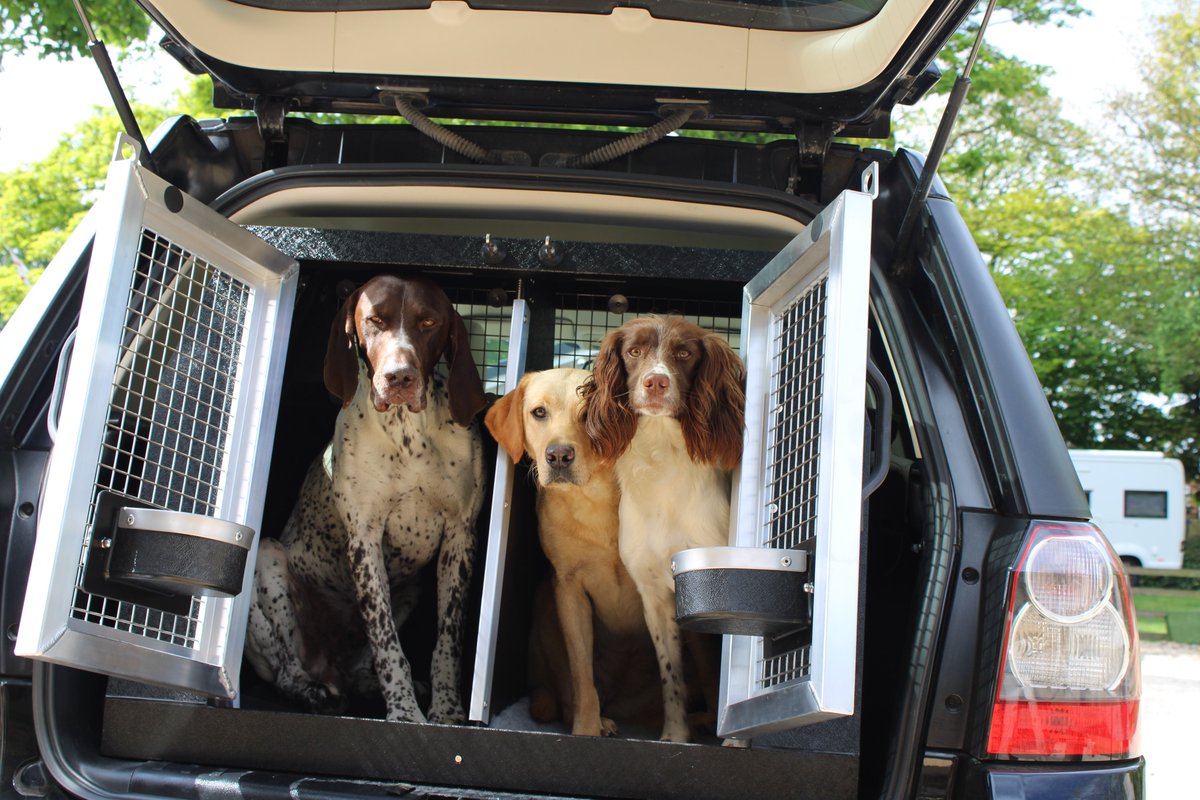 CABboxes's tweet photo. Duke, Amber &amp; Sansa loving their new Freelander2 CAB2 box &amp; cannot wait to go out with mum Holly of Ribblebrook Gundogs @Wuffitmix #freelander #cabanimaltransitboxes #cabboxes #cabbox #cabwho #wearecab #cabtransitboxes #settingthestandard #dogbox #gundogs #fieldtrials #wuffitmix https://t.co/022x2s4TN6