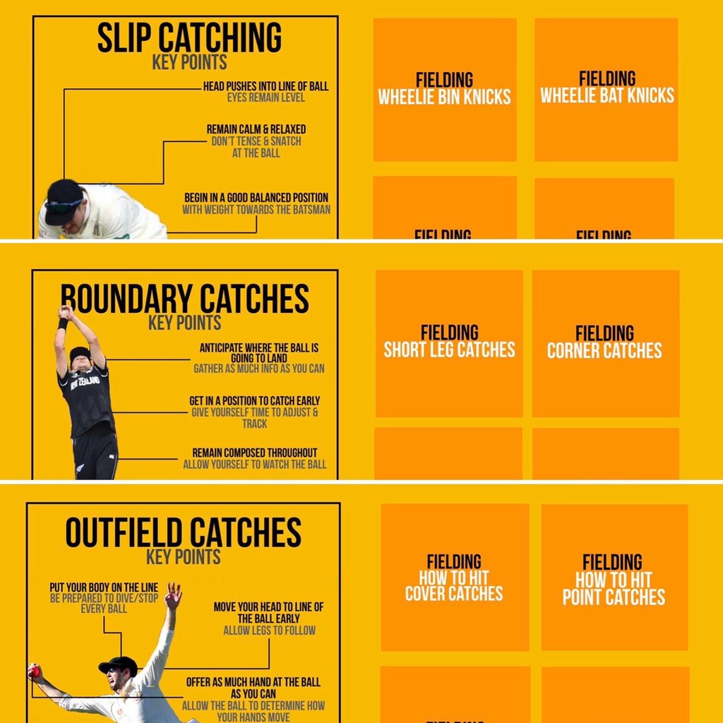 The Cricket Consultant tweet media