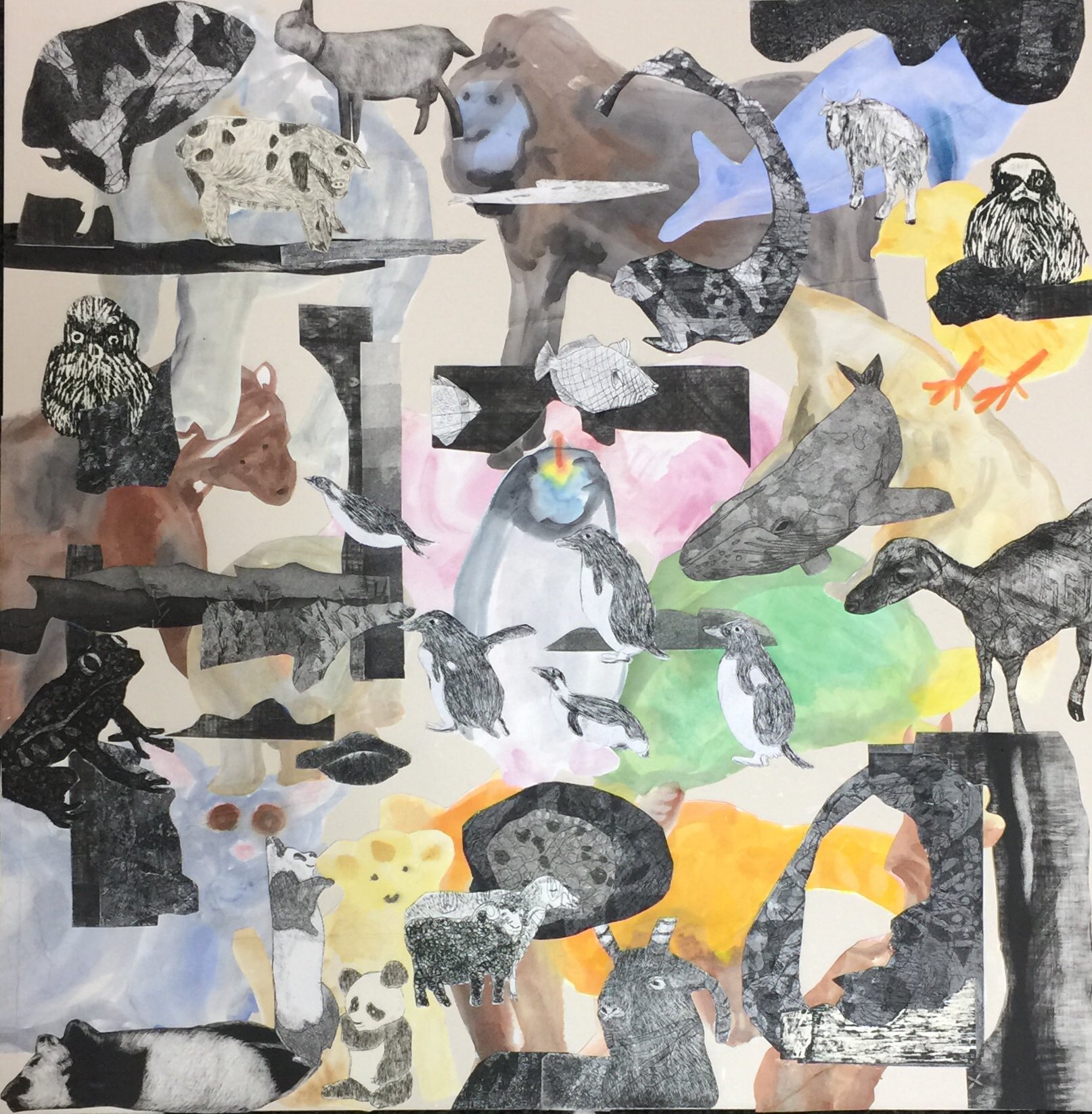 長 雪恵 Twitter પર コラージュ アート デザイン ドローイング イラスト 動物 絵 コラージュ 水彩 銅版画 T Co I0b6qbldpr Twitter
