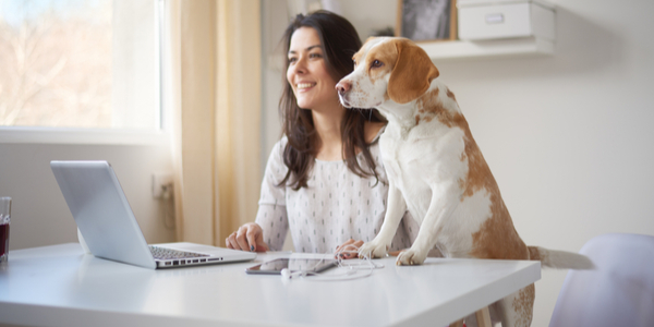 IRISone_nl's tweet photo. Werken alle #verbindingen met het #bedrijfsnetwerk vanaf de #thuiswerkplek en hoe zit het met de# klantinformatie en het #samenwerken?
https://t.co/n2kYbmYfih https://t.co/AGbOje6ifL