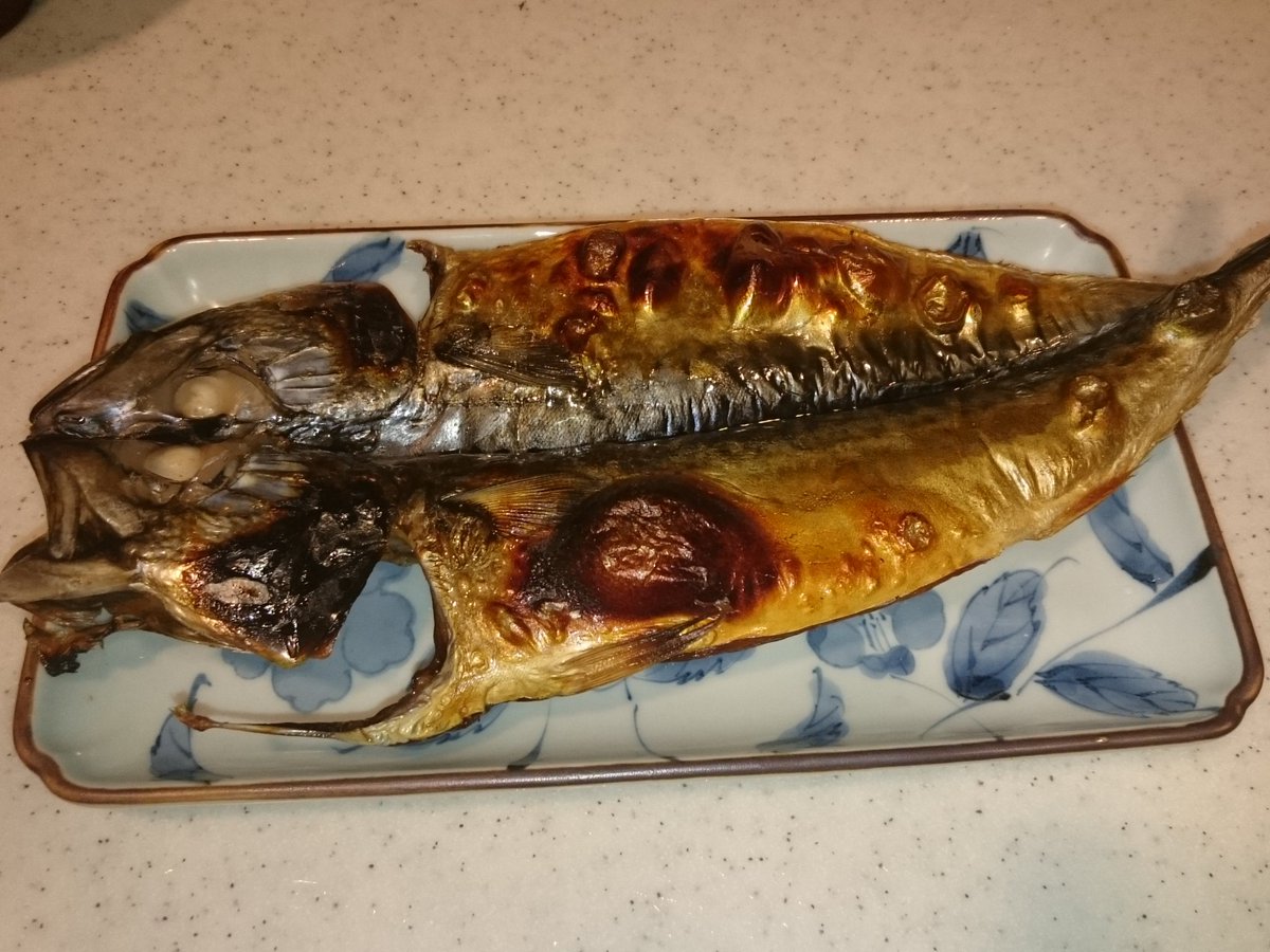 きっく17 鯖って割と小型の魚では大きい方だからサバ塩定食みたいな焼き魚でも三枚におろし た半身なのが普通だと思ってたけど 今日スーパーでたぶん初めて見たのは鯖の開き 晩ご飯はガッツリと鯖 ちなみに1枚98えん