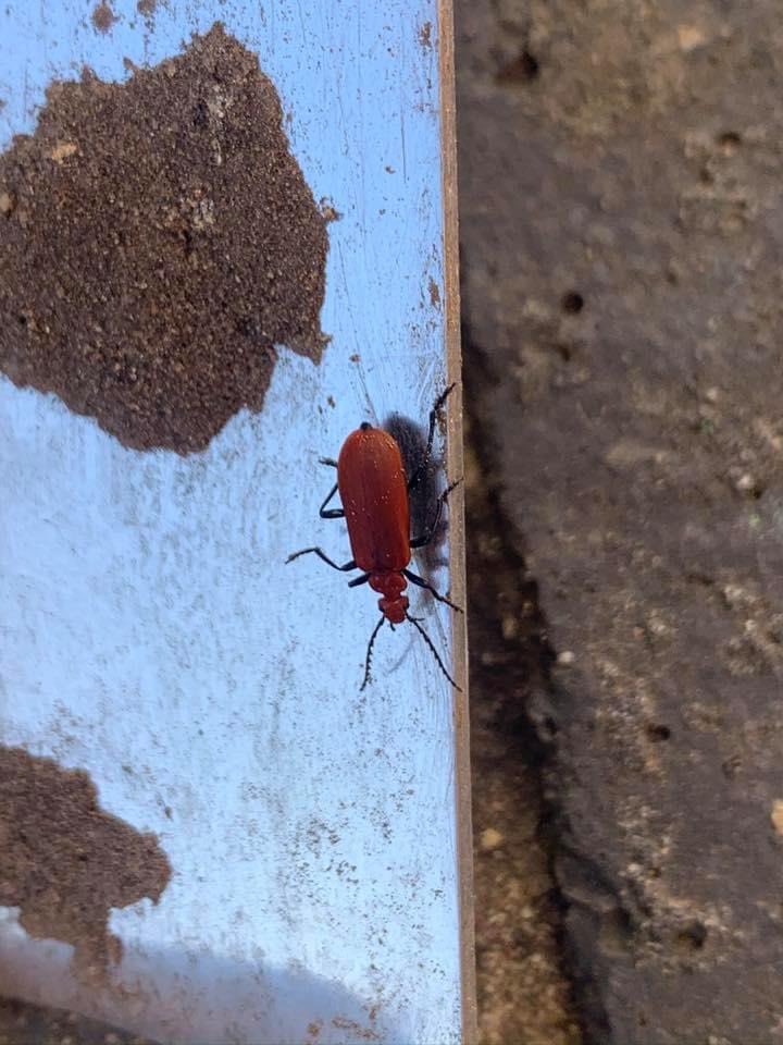 Mark Thompson tweet media