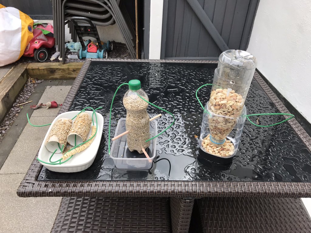 anjja2k's tweet photo. We made our own bird feeders last week, researched garden birds and spent 7 days bird spotting. Today we collated our results and made bar charts. We loved seeing the birds eating the nuts and seeds and even had to refill them today! #sjwathome @StJohnsL22 https://t.co/3ZNzEVGgdc