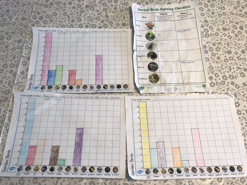 anjja2k's tweet photo. We made our own bird feeders last week, researched garden birds and spent 7 days bird spotting. Today we collated our results and made bar charts. We loved seeing the birds eating the nuts and seeds and even had to refill them today! #sjwathome @StJohnsL22 https://t.co/3ZNzEVGgdc