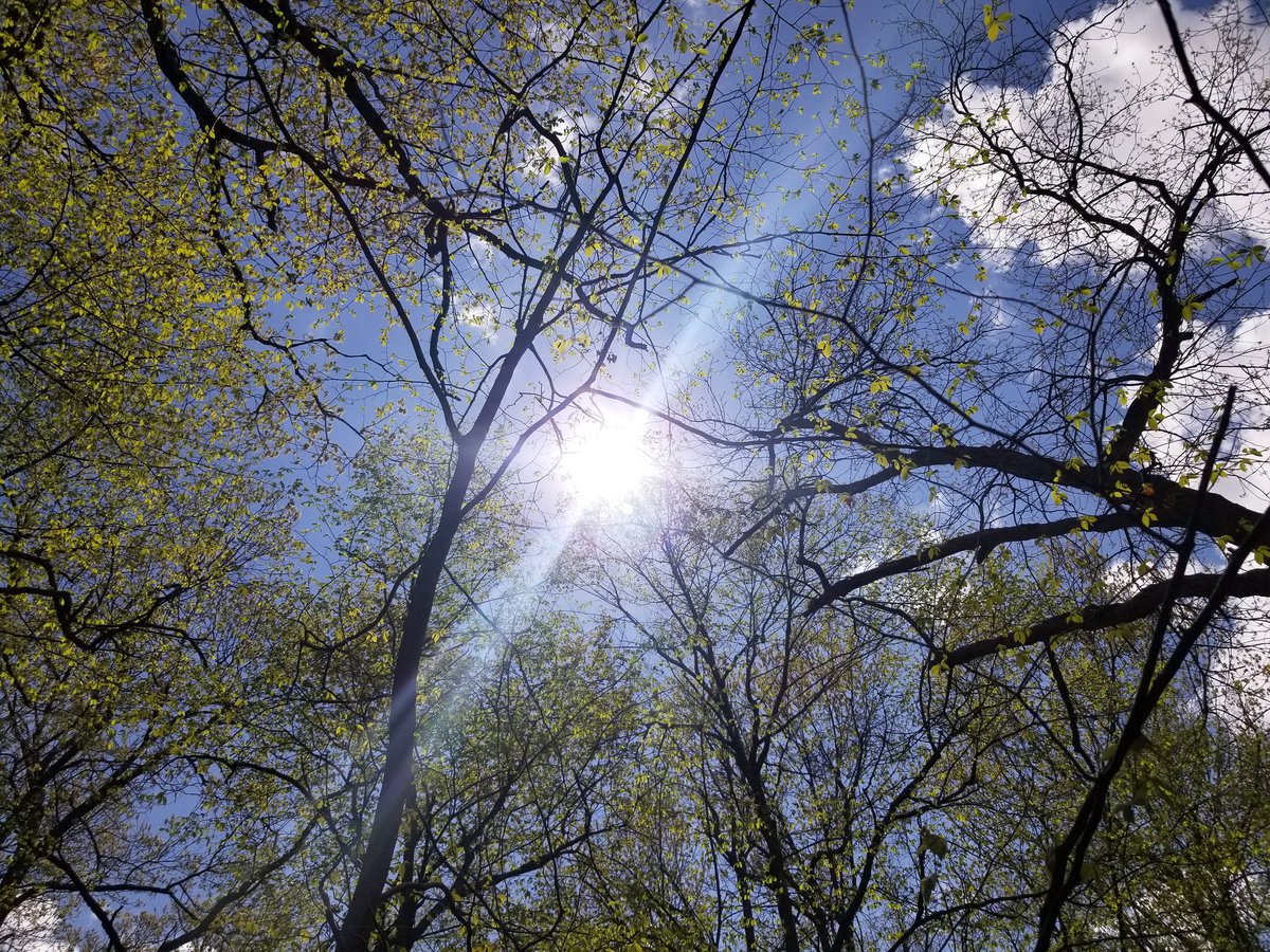 EricSPaige1's tweet photo. Have a beautiful day 😁❤🙏 https://t.co/jkw8KTf5rS