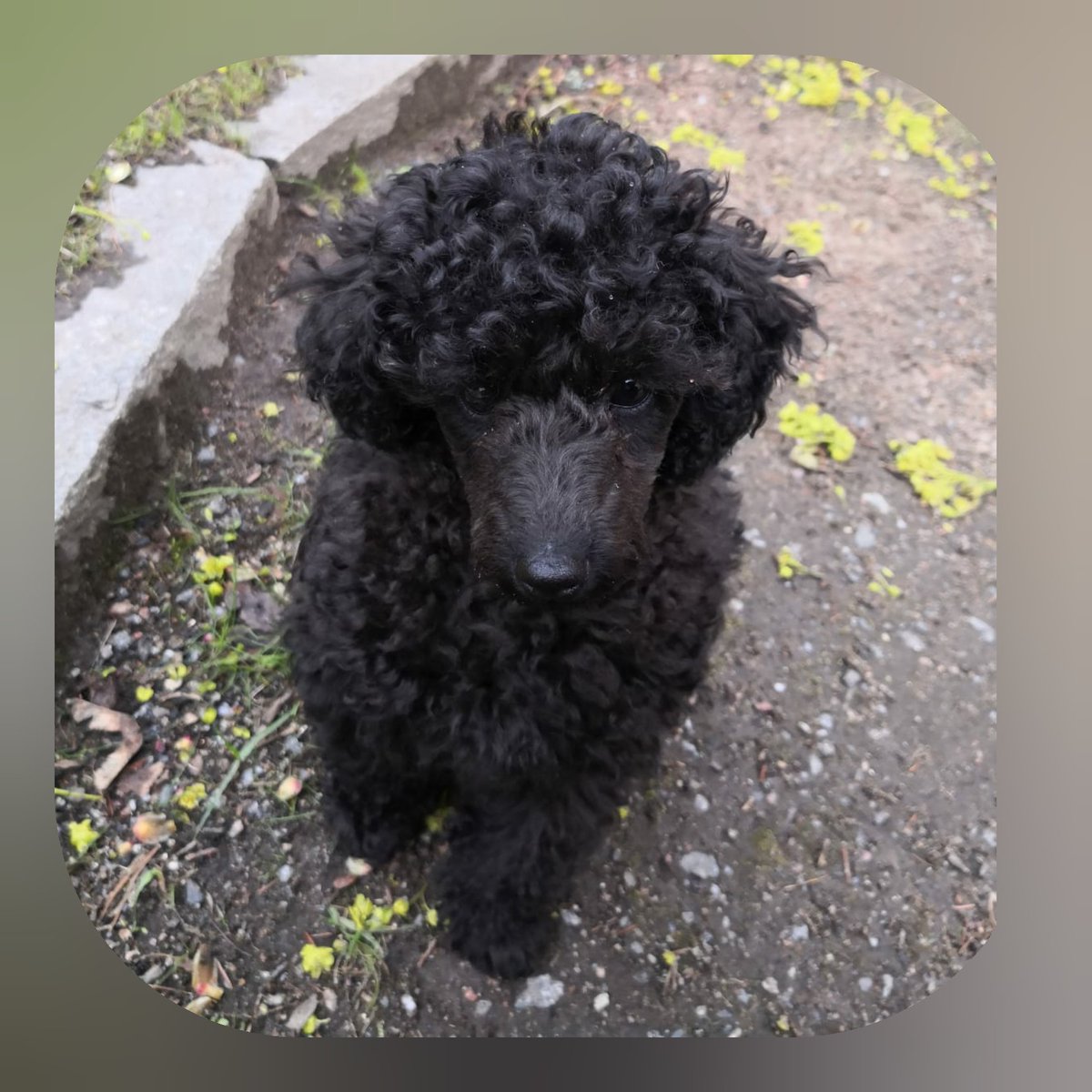 Jenni Airaksinen tweet media