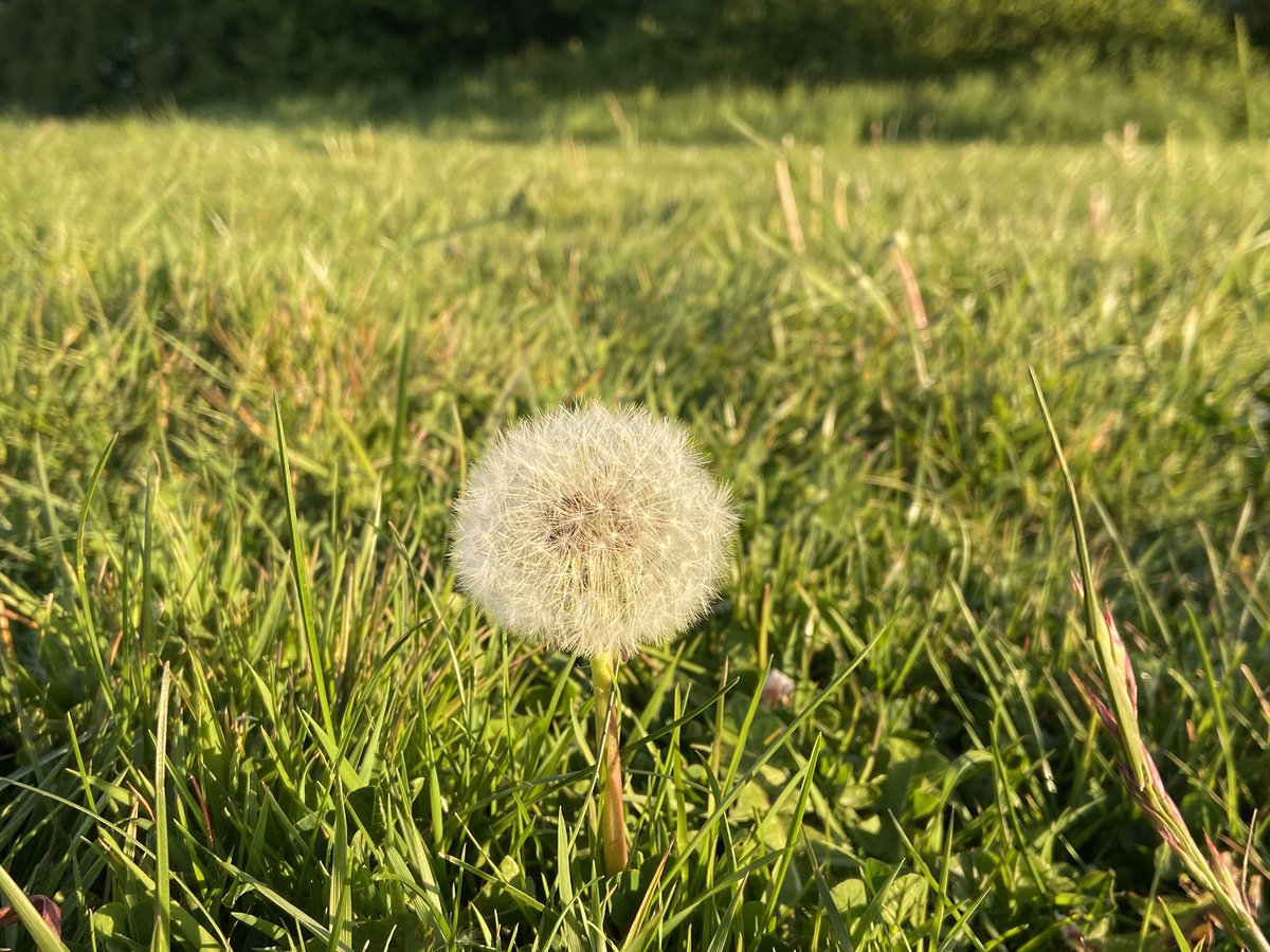 JenBaughan's tweet photo. #AeroSecurePhotoComp - here are some picture that I am submitting! @Aero_Secure I just felt a tickle on my finger and looked down to see this little green bug. Any ideas what it is? @S4TP_BigIdeas https://t.co/MeM3lLOrG4