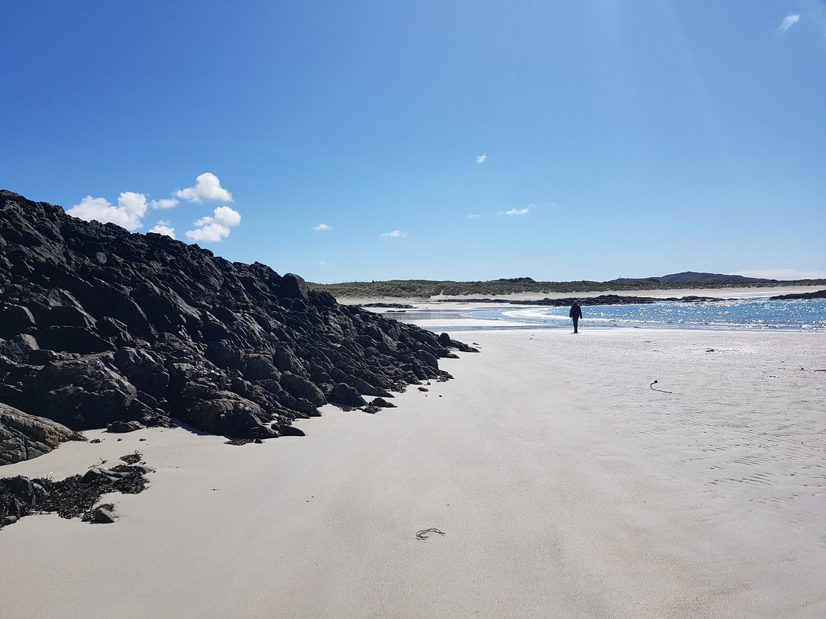 This time last year I was on Tiree with <a href="/craigiescience/">Science department</a> and boogie boarding like there was no tomorrow. Fast forward to today when I've recorded an online lesson only to find there is a seagull screaming in the background as I left my window open whilst recording.
