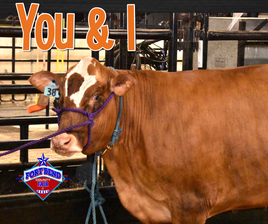 fbcfair's tweet photo. #TuesdayTimeout Together, we make a difference! #livstockkids #ffa #4h #raisinganimals #fbcfair https://t.co/7cBb1DXikK