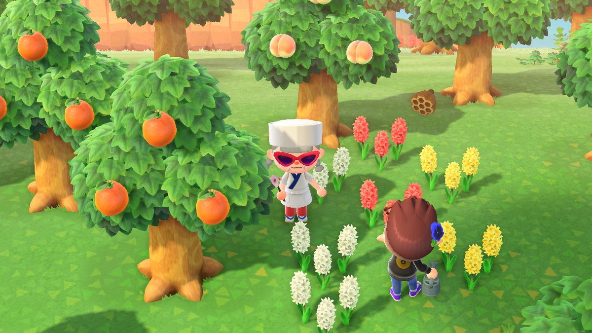 amberry_'s tweet photo. #どうぶつの森 #AnimalCrossing #ACNH #NintendoSwitch https://t.co/3LLFp4VdZg