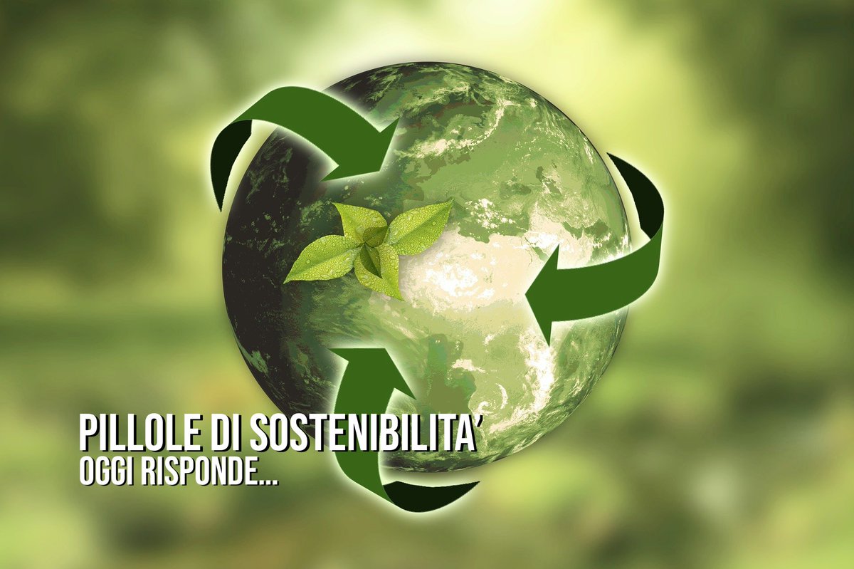 FondazioneCS's tweet photo. Nel secondo episodio della serie ‘Pillole di Sostenibilità’ risponde @GiovanniFossi membro del Consiglio di Amministrazione della Fondazione per il Clima e la Sostenibilità. #pilloledisostenibilità #fcs #giovannifossi

https://t.co/LXwHzuY9in https://t.co/ZyDulSugG3