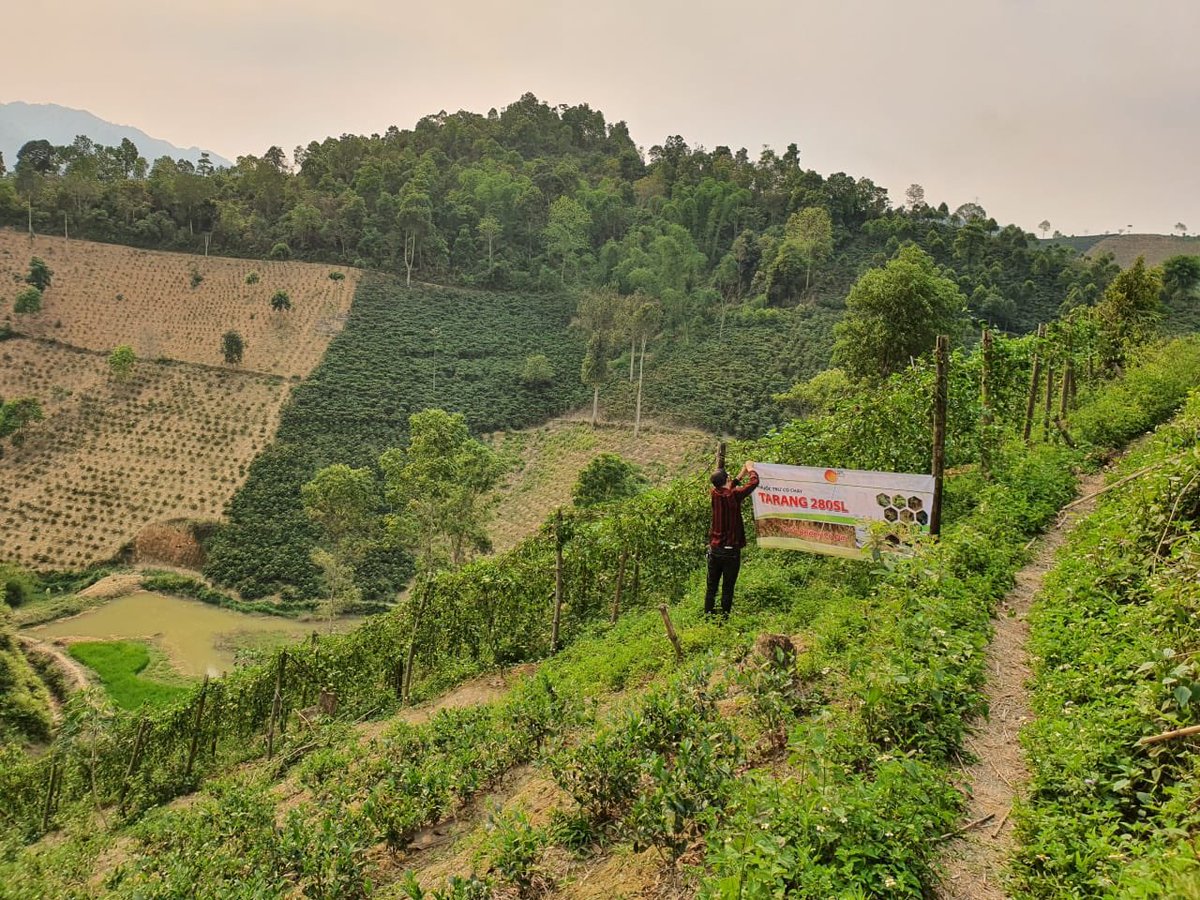 UPLLtd's tweet photo. UPL Vietnam team on field to discuss about our product and its benefits, Tarang in the mountainous Northern provinces.

To know more - https://t.co/7slyn7sRYM

#UPLVietnam #OpenCollaboration #OpenAg #NoLimitsNoBorders #GrowWithUPL #OnFieldWithUPL https://t.co/uthEfNRmNp