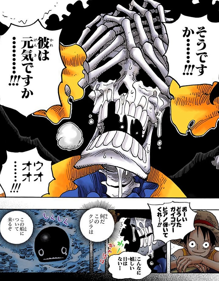 ワンピース クジラたちの頭の傷は壮大な伏線 ブルック以外にも伏線がある 漫画情報 Info