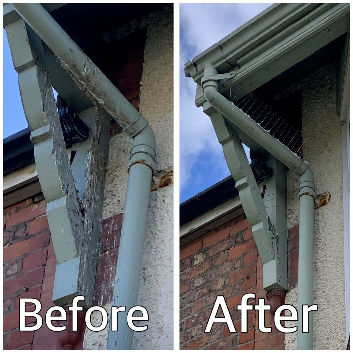 defender_pests's tweet photo. My client and her neighbour had a problem with pigeons perching on the roof gallows and a drain pipe causing an unsightly mess on the house below.

DEFENDER cleaned up the mess and installed high quality bird spikes to the gallows and the drain pipe to leave the house pigeon free https://t.co/jo6pzVhXeM